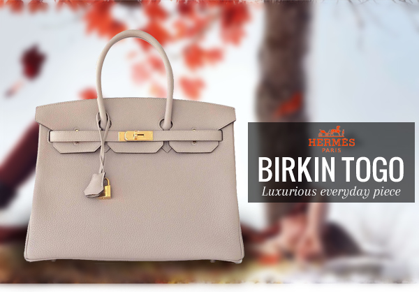 Hermes Birkin 35 Bag Togo Leather 02