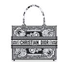 Christian Dior Medium Dior Book Tote 
