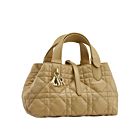 Christian Dior Small Dior Toujours Bag 