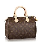 Louis Vuitton Speedy M41528 Brown