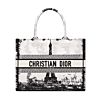 Christian Dior Medium Dior Book Tote 