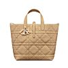 Christian Dior Medium Dior Toujours Vertical Tote Bag 