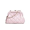 Chanel Clutch AS4717 