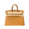 Hermes Birkin 25 Togo Leather 