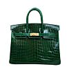 Hermes Birkin 25 Crocodile leather Green