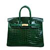 Hermes Birkin 25 Crocodile leather Green