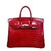 Hermes Birkin 25 Crocodile leather Red