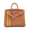 Hermes Birkin 25 Officier Togo Handbag Coffee
