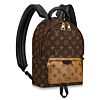 Louis Vuitton Palm Springs Pm M44870 Brown