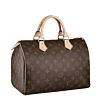 Louis Vuitton Speedy M41526 Brown