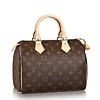 Louis Vuitton Speedy M41528 Brown