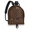 Louis vuitton Palm Springs Backpack MM M41560 Black