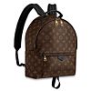 Louis vuitton Palm Springs Backpack PM M41561 Black