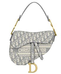 Christian Dior Saddle Original Oblique Embroidered Canvas Bag Gray