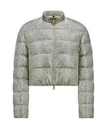 Moncler Women's Down Jacket Paillys Silver