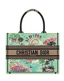Christian Dior Souvenir Medium Dior Book Tote Green