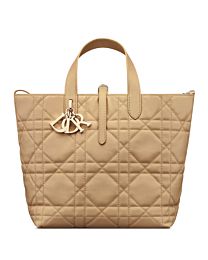 Christian Dior Medium Dior Toujours Vertical Tote Bag 