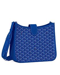 Goyard Musette bag