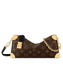 Louis Vuitton Slim trunk bag Brown
