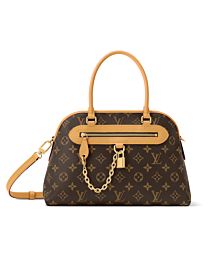 Louis Vuitton Ever More PM M15208 Brown