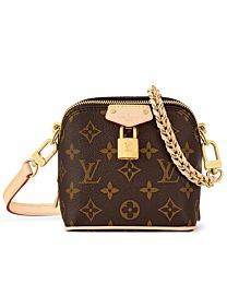 Louis Vuitton JUST IN CASE bag Brown