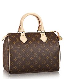 Louis Vuitton Speedy M41528 Brown