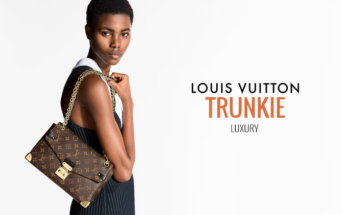 Louis Vuitton Trunkie M14526 Brown