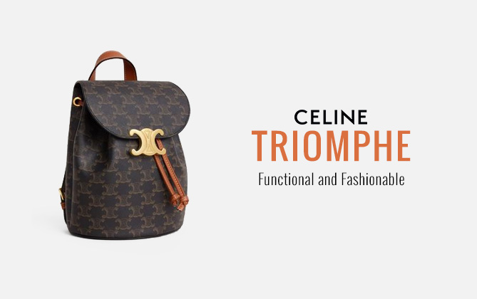 Celine Backpack Celine Bonnie In Triomphe Canvas And Calfskin Coffee