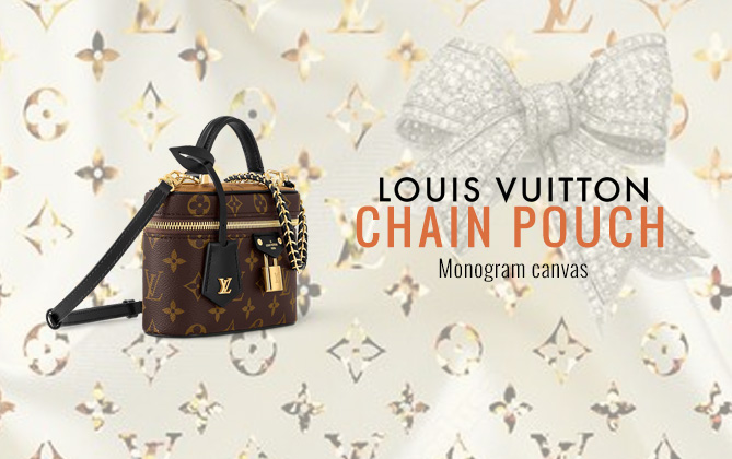 Louis Vuitton Vanity Chain Pouch M47125 Brown